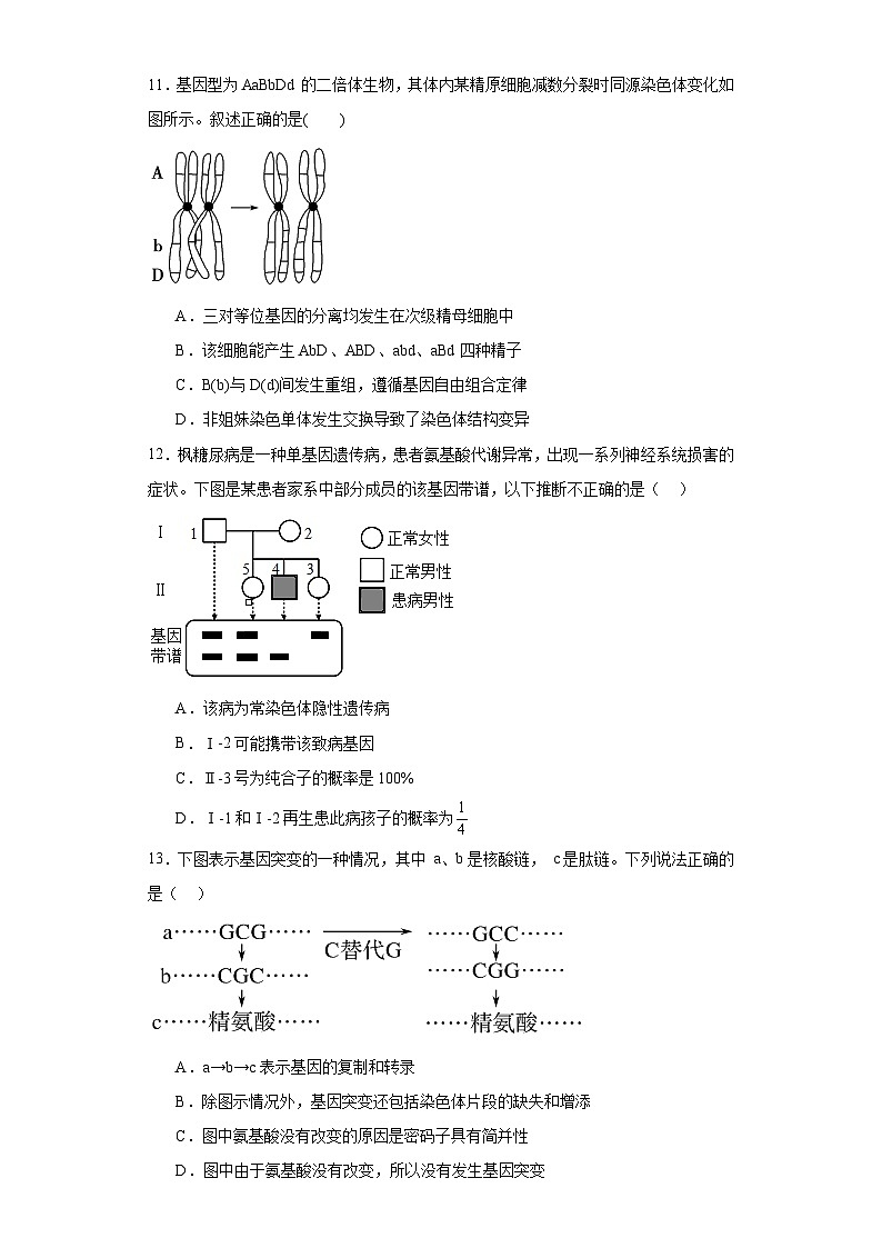 2021届陕西省渭南市富平县高三摸底考试生物试题（含解析）第3页