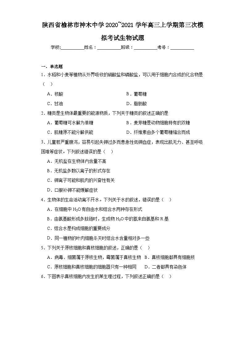 陕西省榆林市神木中学2020_2021学年高三上学期第三次模拟考试生物试题（含解析）01