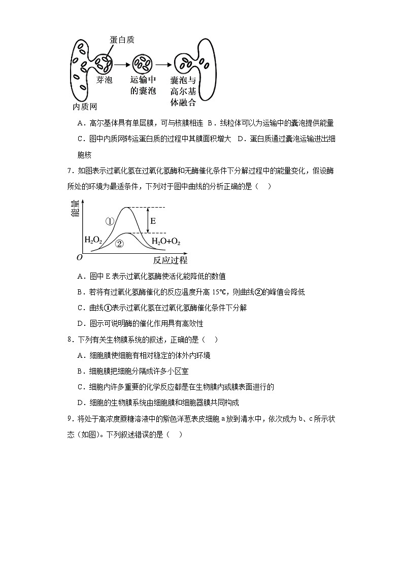 陕西省榆林市神木中学2020_2021学年高三上学期第三次模拟考试生物试题（含解析）02