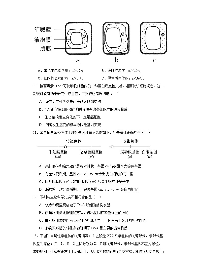 陕西省榆林市神木中学2020_2021学年高三上学期第三次模拟考试生物试题（含解析）03