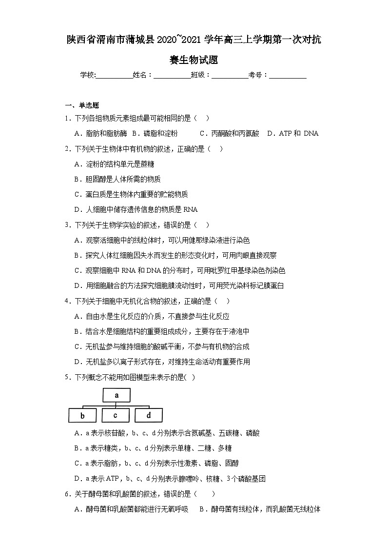 陕西省渭南市蒲城县2020_2021学年高三上学期第一次对抗赛生物试题（含解析）01