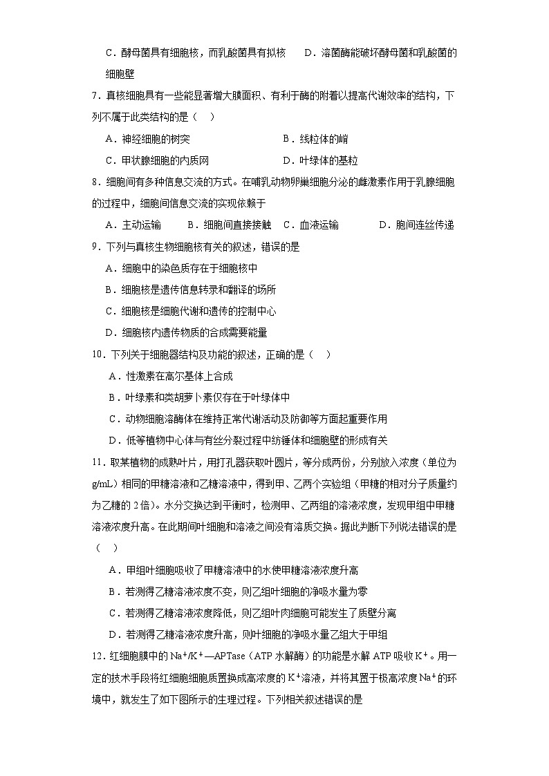 陕西省渭南市蒲城县2020_2021学年高三上学期第一次对抗赛生物试题（含解析）02