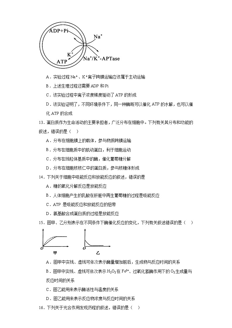 陕西省渭南市蒲城县2020_2021学年高三上学期第一次对抗赛生物试题（含解析）03