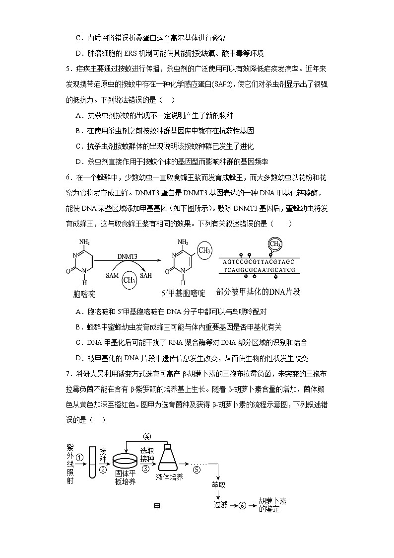 2023届福建省宁德市一中高三一模生物试题（含解析）02