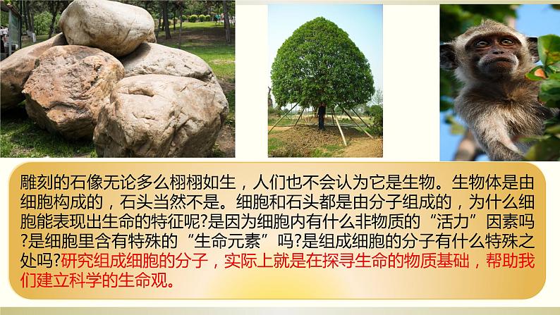 苏教版高中生物必修一1.1细胞中的元素和无机物（必修一）课件PPT01