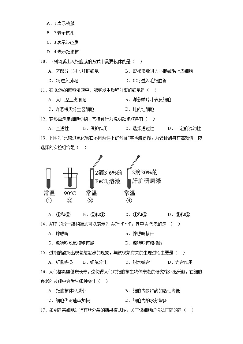 2023年江苏省扬州市普通高中学业水平检测生物模拟试题（二）（含解析）02