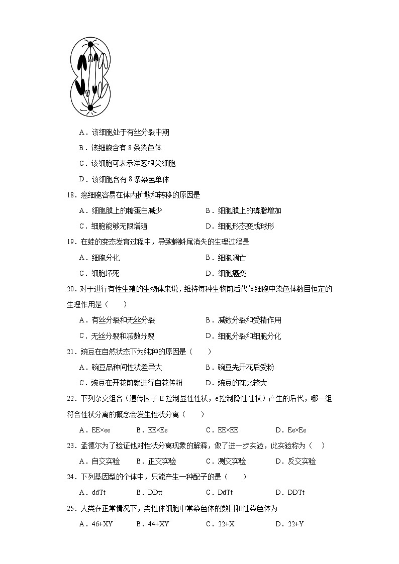 2023年江苏省扬州市普通高中学业水平检测生物模拟试题（二）（含解析）03