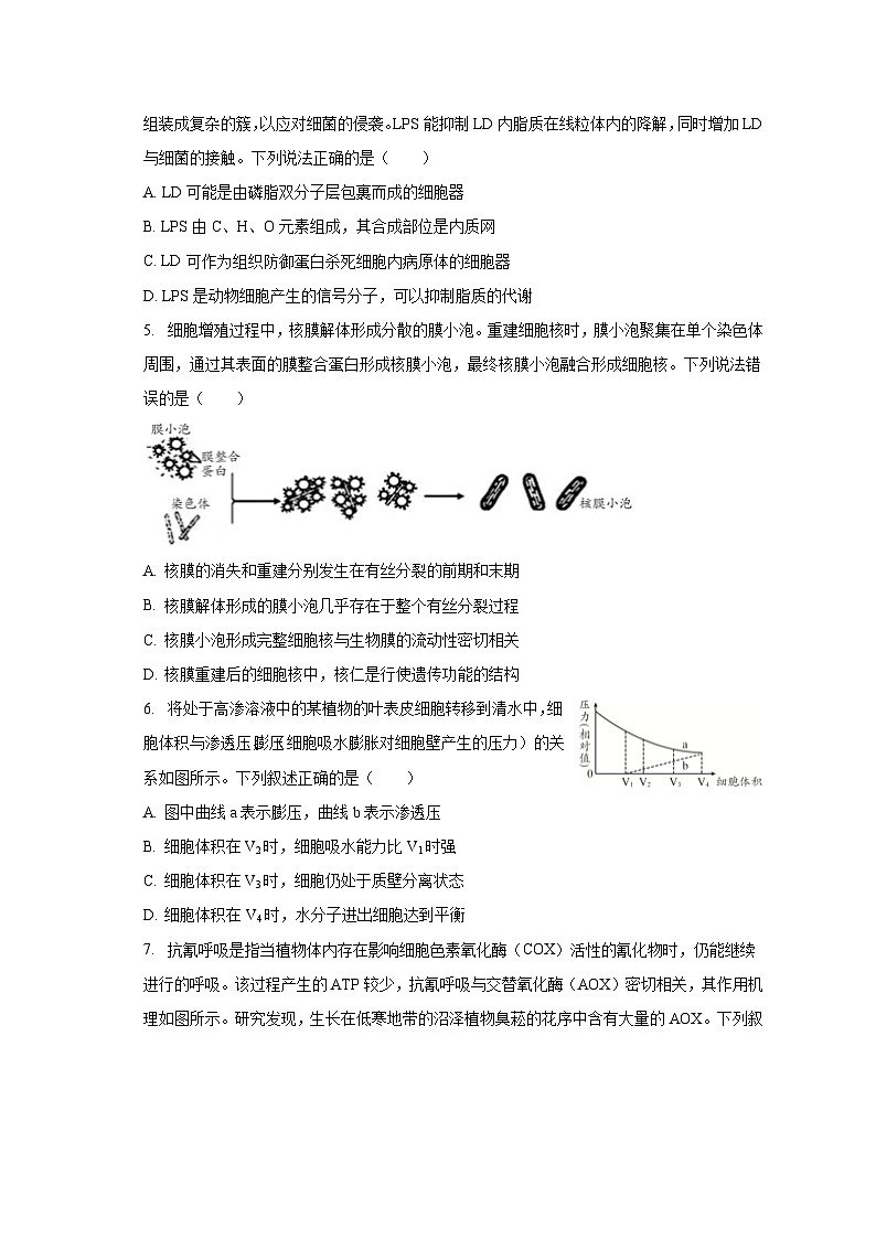 2022-2023学年山东省日照市校际联考高二（下）期末生物试卷（含解析）02