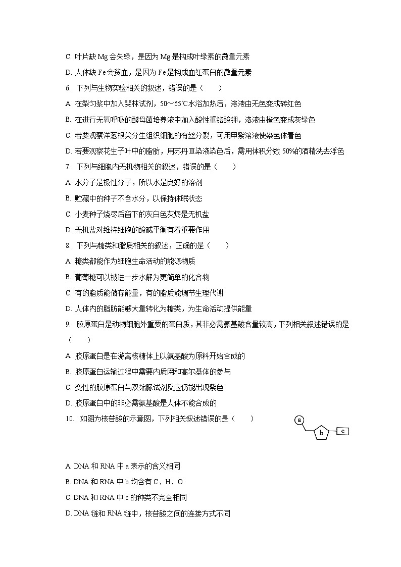 2022-2023学年云南省大理州高一（下）期末生物试卷（含解析）第2页