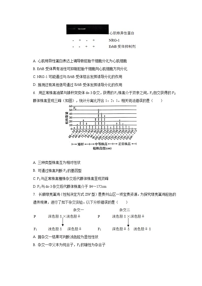 2022-2023学年贵州省铜仁市高一（下）期末生物试卷（含解析）第2页
