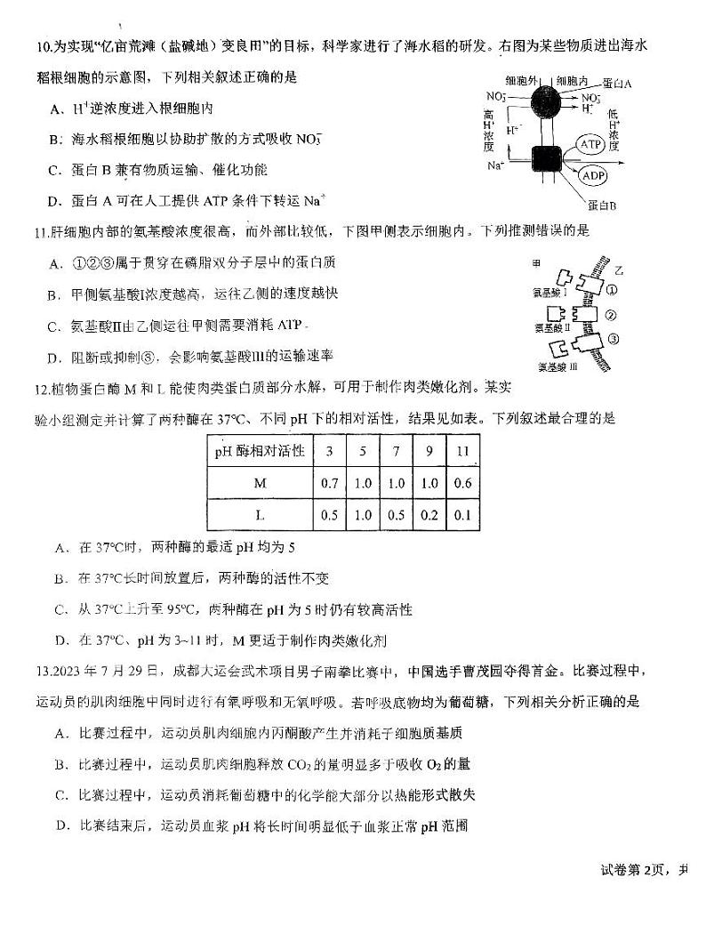 2023-2024广东省四校联考生物试题第3页