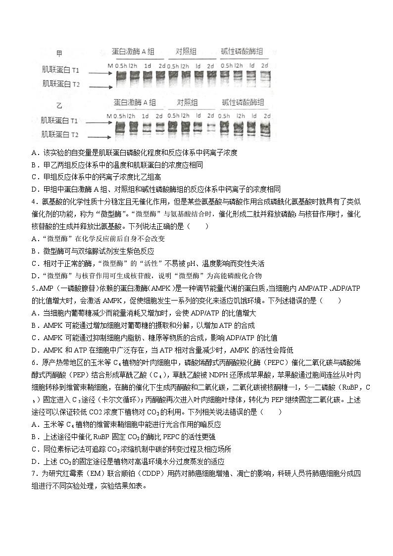 山东省青岛市即墨区2022-2023学年高三生物上学期期中考试试题（Word版附答案）02