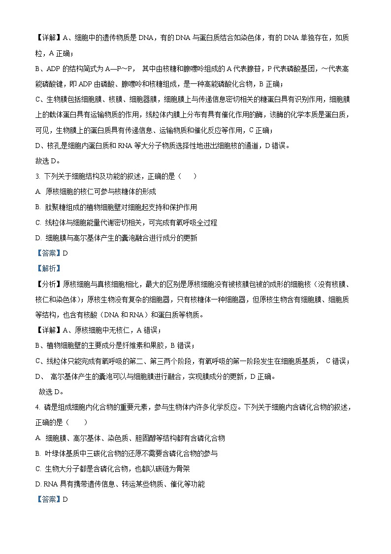 山西大学附属中学2022-2023学年高三生物上学期期中考试试题（Word版附解析）02