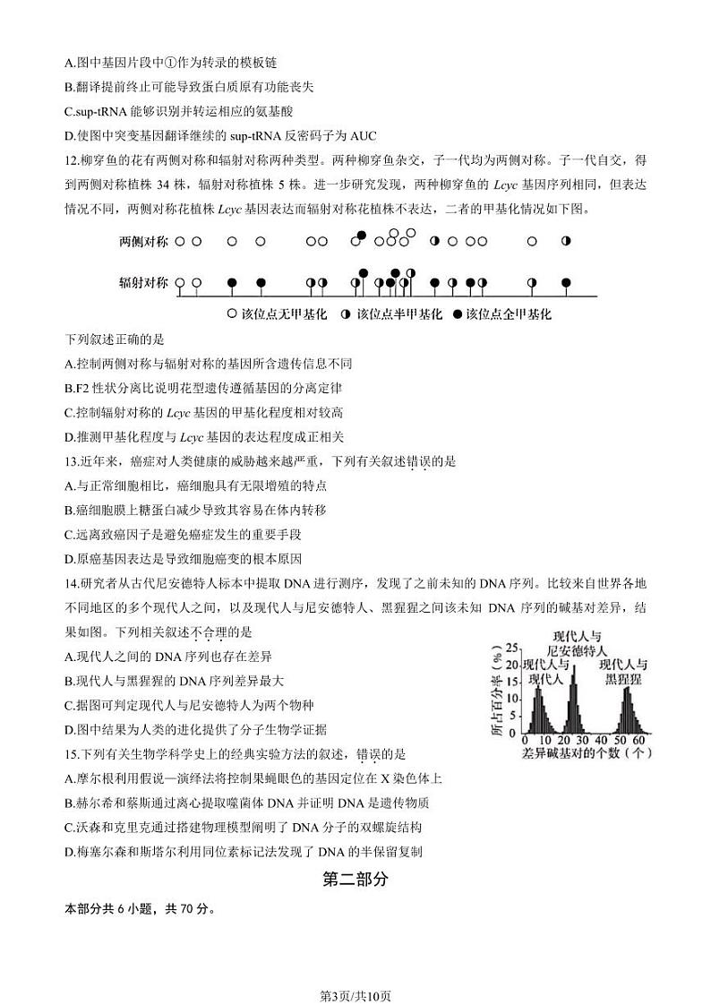 2022-2023学年北京东城区高一下学期期末生物试题及答案03