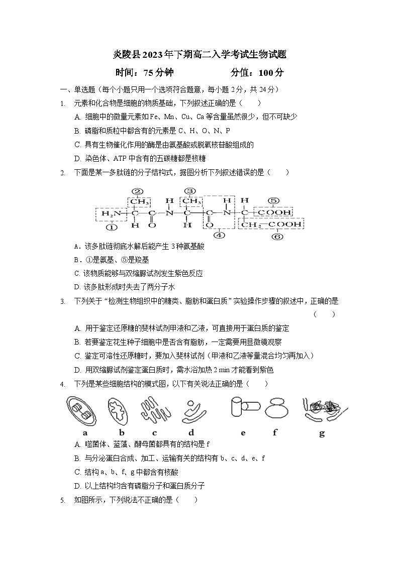 湖南省炎陵县第一中学2023-2024学年高二上学期开学考试生物试题01