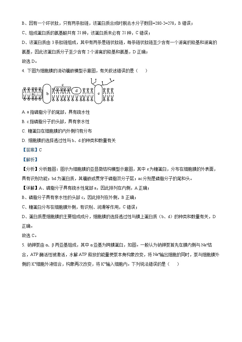 天津市第四中学2022-2023学年高一生物上学期1月期末试题（Word版附解析）03