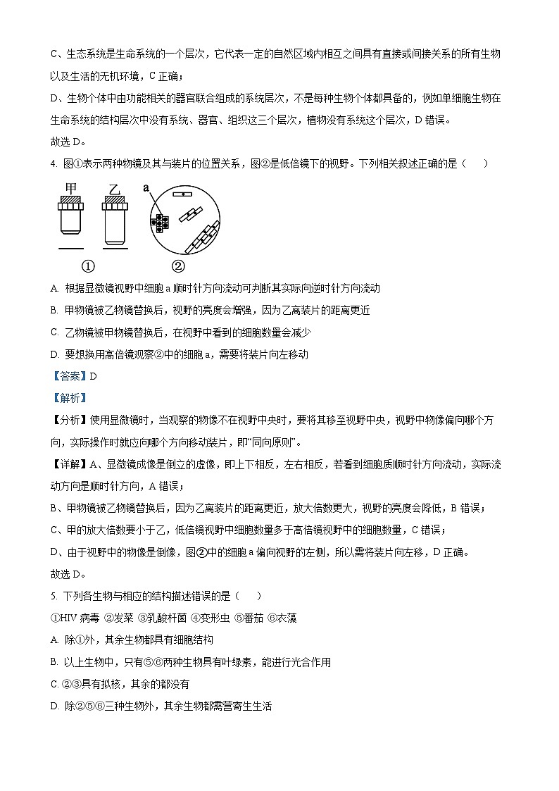 重庆市大足中学2023-2024学年高一生物上学期第一次阶段性测试（强基班）试题（Word版附解析）第3页