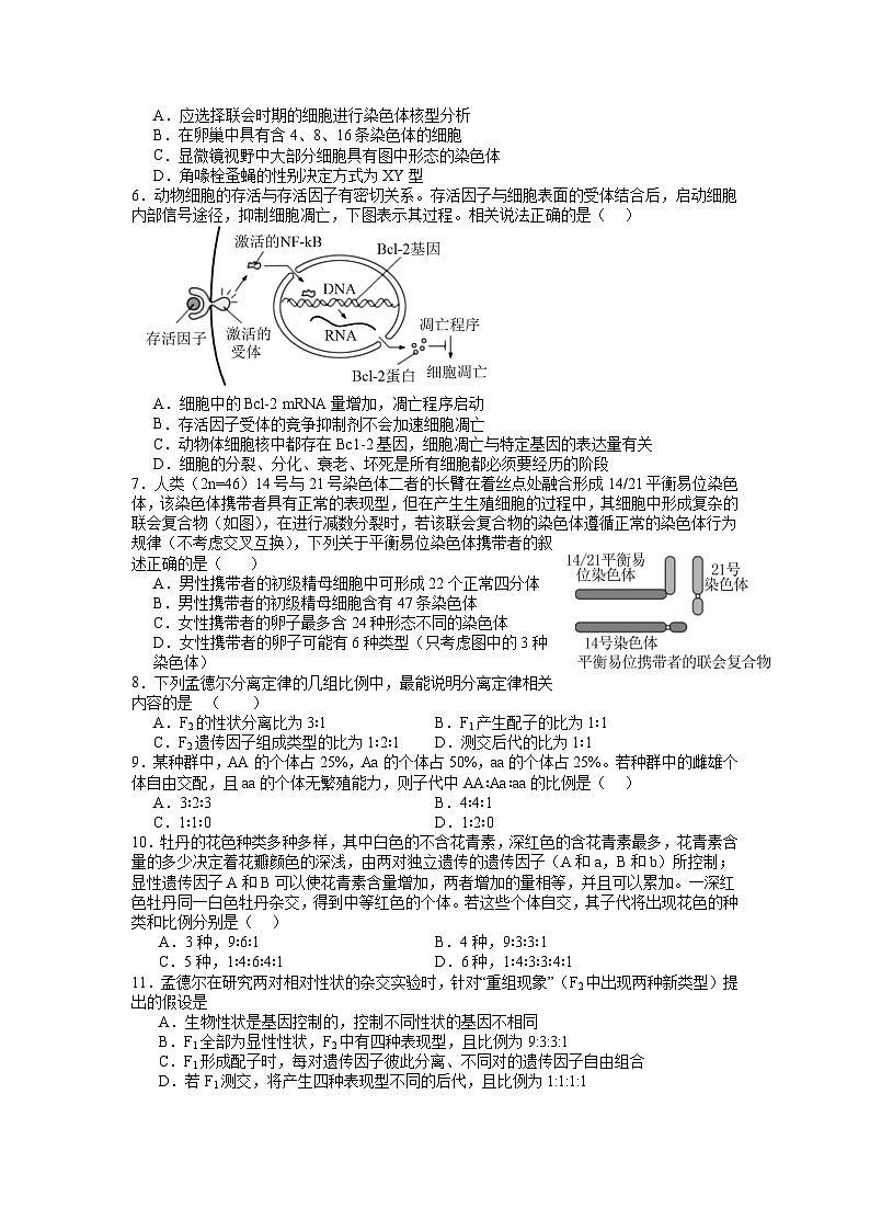 江苏省江阴市成化高级中学2023-2024学年高三上学期第一次阶段考试生物试卷02