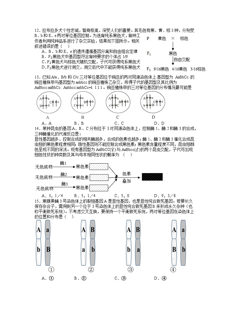 江苏省江阴市成化高级中学2023-2024学年高三上学期第一次阶段考试生物试卷03