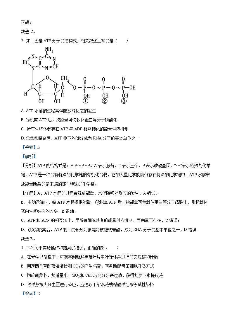 重庆市万州第二高级中学2024届高三生物上学期8月月考试题（Word版附解析）第2页