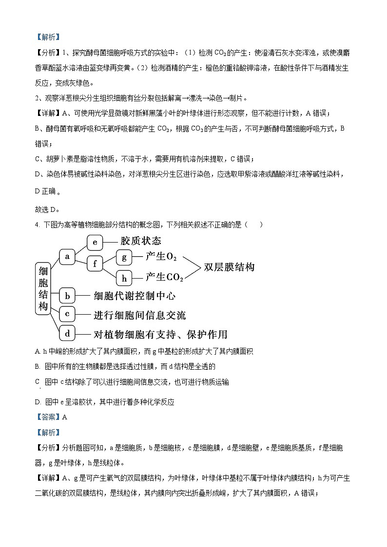 重庆市万州第二高级中学2024届高三生物上学期8月月考试题（Word版附解析）第3页