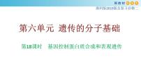 专题18 基因的表达-备战2023年高考生物一轮复习全考点精选课件（浙江新教材、新高考专用）