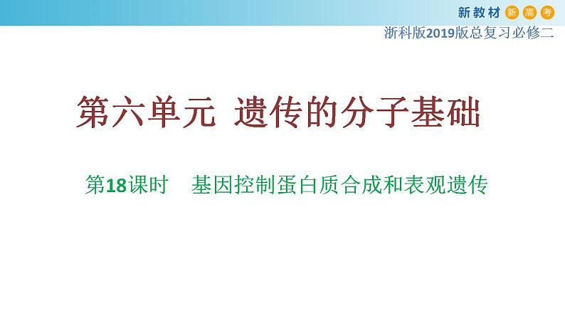 专题18 基因的表达-备战2023年高考生物一轮复习全考点精选课件（浙江新教材、新高考专用）第1页