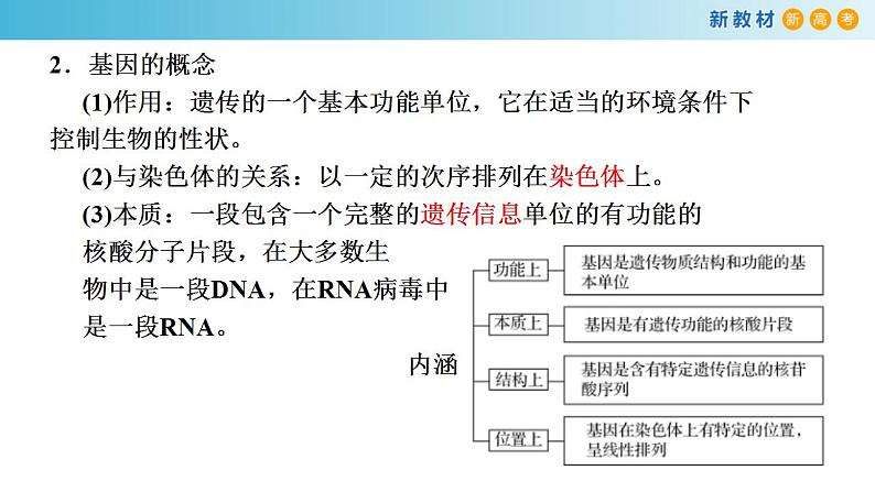 专题18 基因的表达-备战2023年高考生物一轮复习全考点精选课件（浙江新教材、新高考专用）第3页