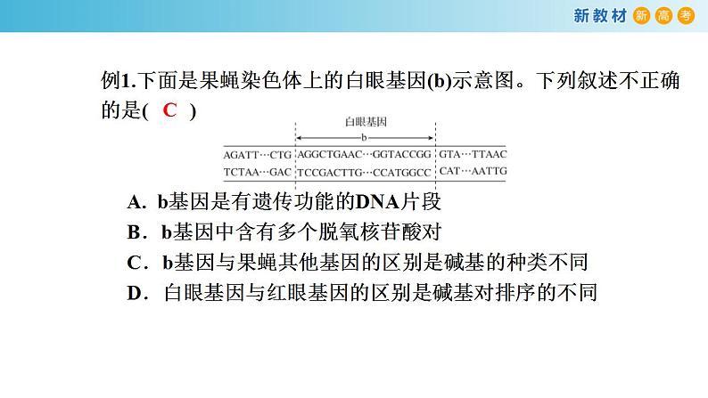 专题18 基因的表达-备战2023年高考生物一轮复习全考点精选课件（浙江新教材、新高考专用）第4页