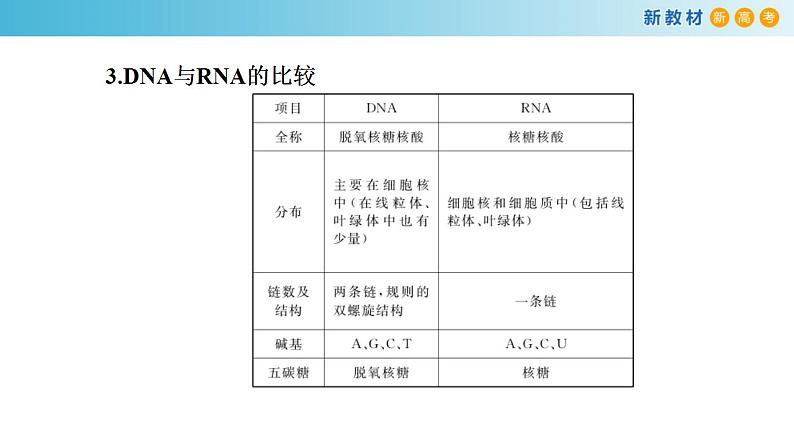 专题18 基因的表达-备战2023年高考生物一轮复习全考点精选课件（浙江新教材、新高考专用）第5页