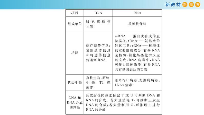 专题18 基因的表达-备战2023年高考生物一轮复习全考点精选课件（浙江新教材、新高考专用）第6页