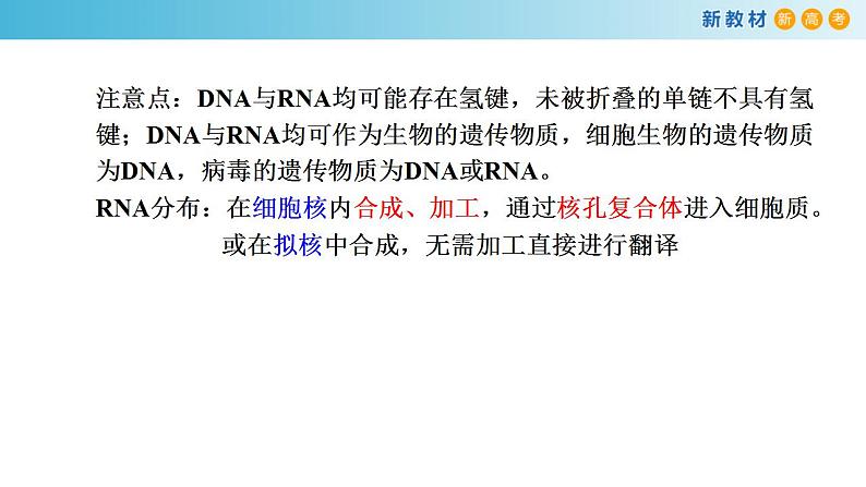 专题18 基因的表达-备战2023年高考生物一轮复习全考点精选课件（浙江新教材、新高考专用）第7页