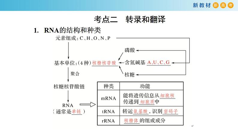 专题18 基因的表达-备战2023年高考生物一轮复习全考点精选课件（浙江新教材、新高考专用）第8页