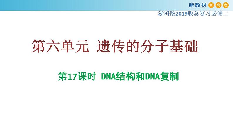 专题17 DNA结构和DNA复制-备战2023年高考生物一轮复习全考点精选课件（浙江新教材、新高考专用）第1页