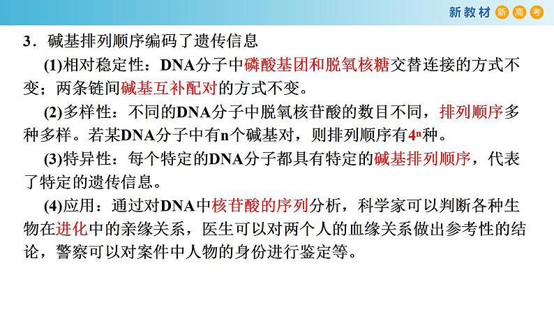 专题17 DNA结构和DNA复制-备战2023年高考生物一轮复习全考点精选课件（浙江新教材、新高考专用）第3页