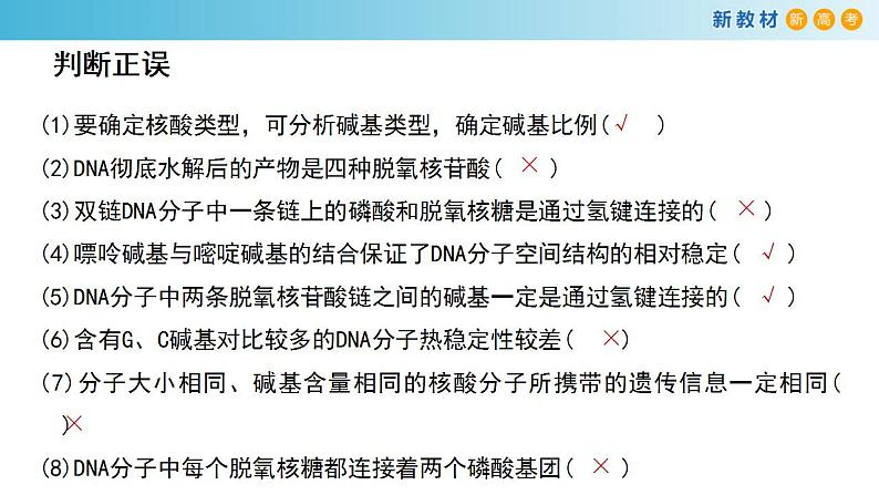 专题17 DNA结构和DNA复制-备战2023年高考生物一轮复习全考点精选课件（浙江新教材、新高考专用）第4页