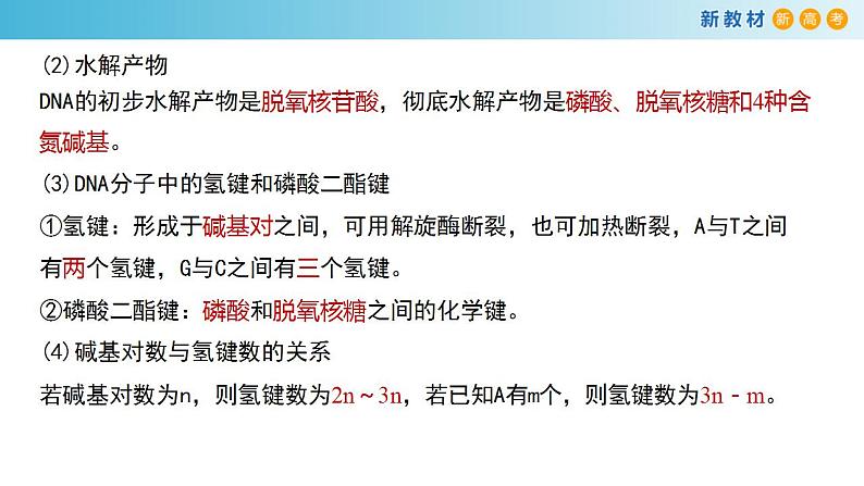 专题17 DNA结构和DNA复制-备战2023年高考生物一轮复习全考点精选课件（浙江新教材、新高考专用）第6页