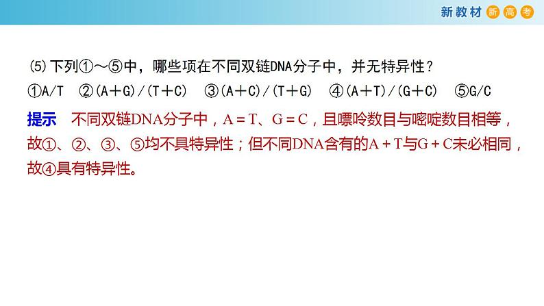 专题17 DNA结构和DNA复制-备战2023年高考生物一轮复习全考点精选课件（浙江新教材、新高考专用）第7页