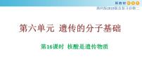 专题16 核酸是遗传物质-备战2023年高考生物一轮复习全考点精选课件（浙江新教材、新高考专用）