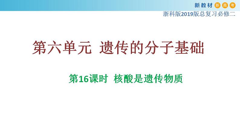 专题16 核酸是遗传物质-备战2023年高考生物一轮复习全考点精选课件（浙江新教材、新高考专用）第1页