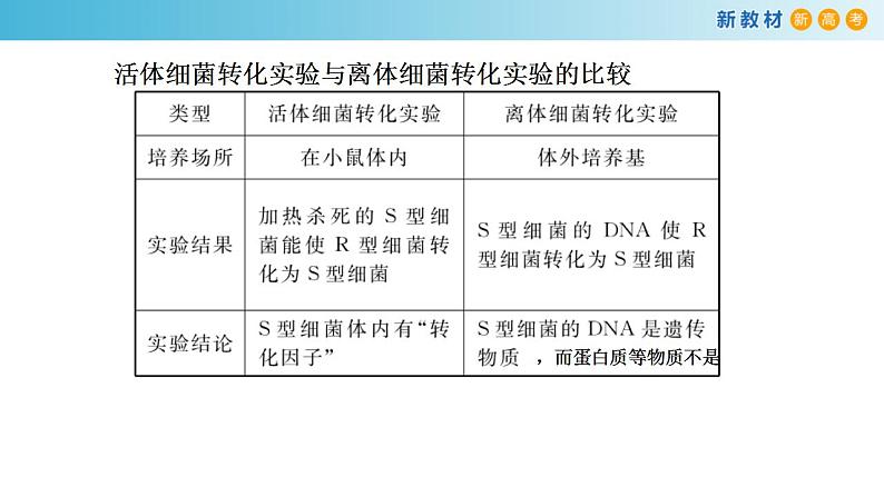 专题16 核酸是遗传物质-备战2023年高考生物一轮复习全考点精选课件（浙江新教材、新高考专用）第6页