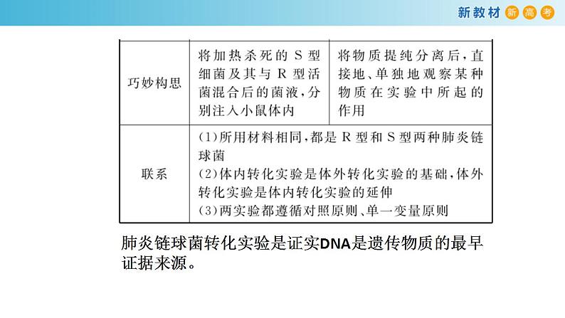 专题16 核酸是遗传物质-备战2023年高考生物一轮复习全考点精选课件（浙江新教材、新高考专用）第7页