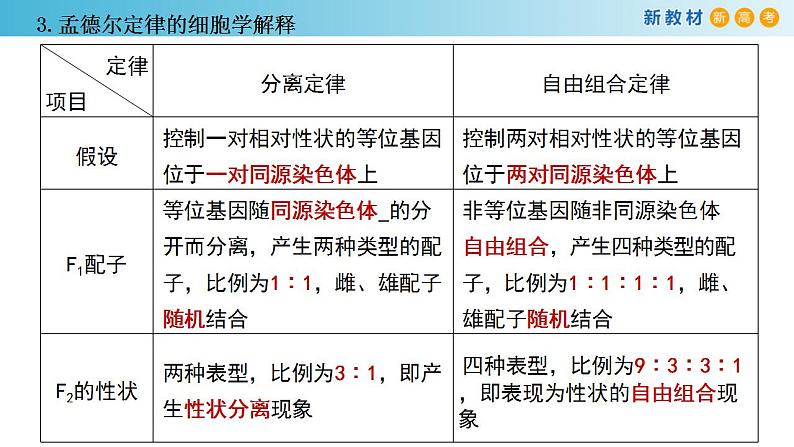 专题15 遗传的染色体学说、伴性遗传和人类遗传病-备战2023年高考生物一轮复习全考点精选课件（浙江专用）第5页