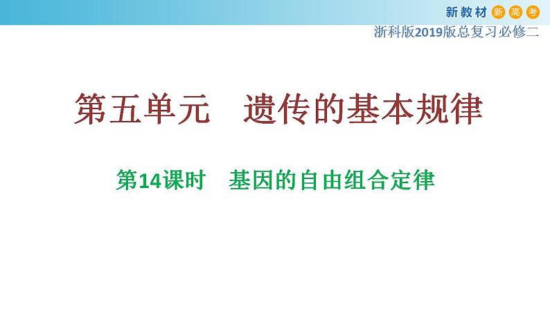 专题14 基因的自由组合定律-备战2023年高考生物一轮复习全考点精选课件（浙江新教材、新高考专用）第1页