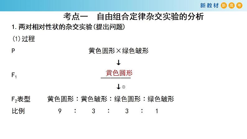 专题14 基因的自由组合定律-备战2023年高考生物一轮复习全考点精选课件（浙江新教材、新高考专用）第2页