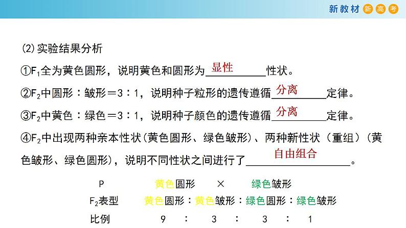 专题14 基因的自由组合定律-备战2023年高考生物一轮复习全考点精选课件（浙江新教材、新高考专用）第3页