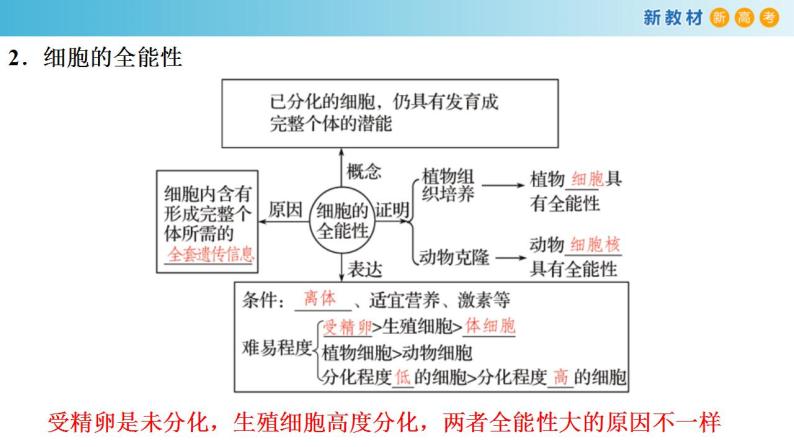 专题12 细胞的分化、癌变、衰老和凋亡-备战2023年高考生物一轮复习全考点精选课件（浙江新教材、新高考专用）06