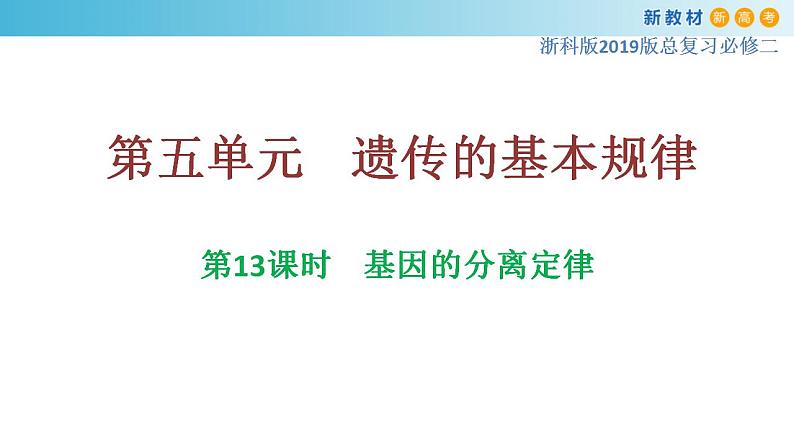 专题13 基因的分离定律-备战2023年高考生物一轮复习全考点精选课件（浙江新教材、新高考专用）第1页