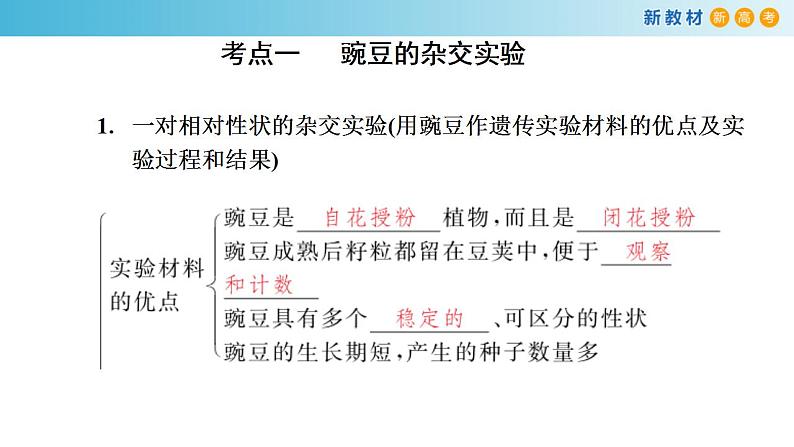 专题13 基因的分离定律-备战2023年高考生物一轮复习全考点精选课件（浙江新教材、新高考专用）第2页