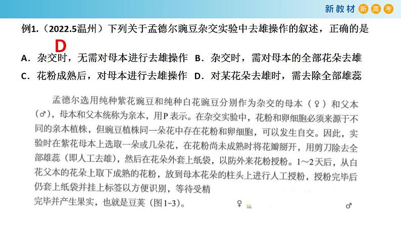 专题13 基因的分离定律-备战2023年高考生物一轮复习全考点精选课件（浙江新教材、新高考专用）第5页